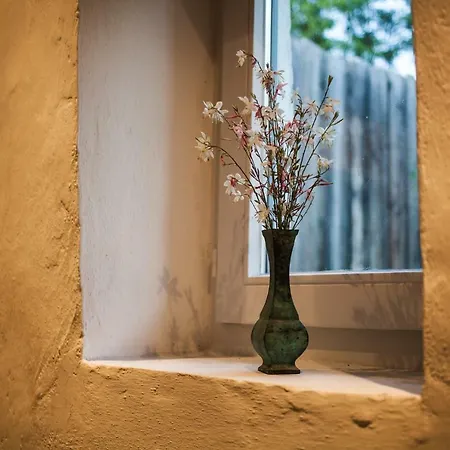 Szálkai Vályogház Vendégház Apartman